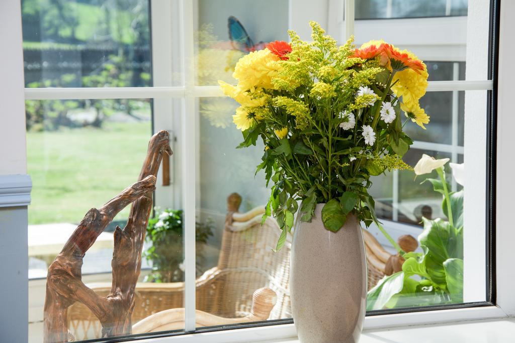 The Rose Garden Bed&Breakfast&Cafe Kenmare Exterior foto