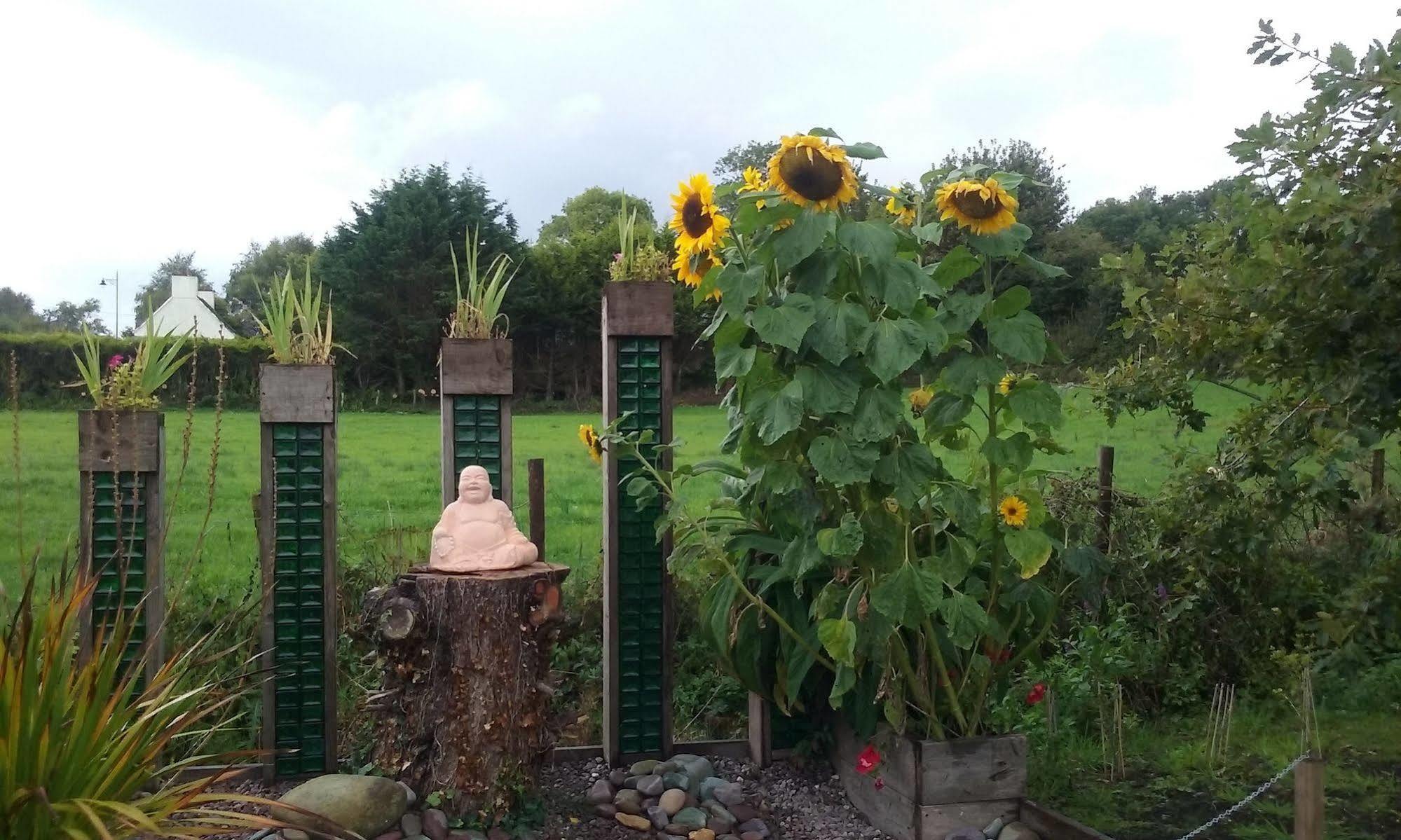 The Rose Garden Bed&Breakfast&Cafe Kenmare Exterior foto